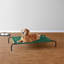 Lit pour chien surélevé Cooling avec structure en métal, moyen, 43 x 26 x 7,5 pouces, gris-1090150034-1090150035