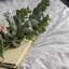 Cotton Duvet Cover with Pillowcases-95991682-91906105-96229440