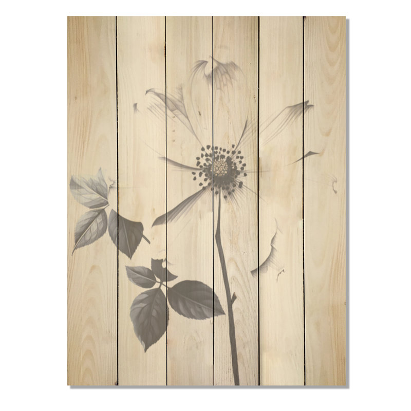 Calme noir et blanc cornouiller - cornouiller sur bois de pin naturel, H 40 po x l 30 po