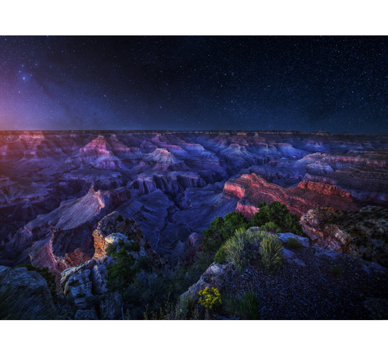 Wrapped Canvas Print