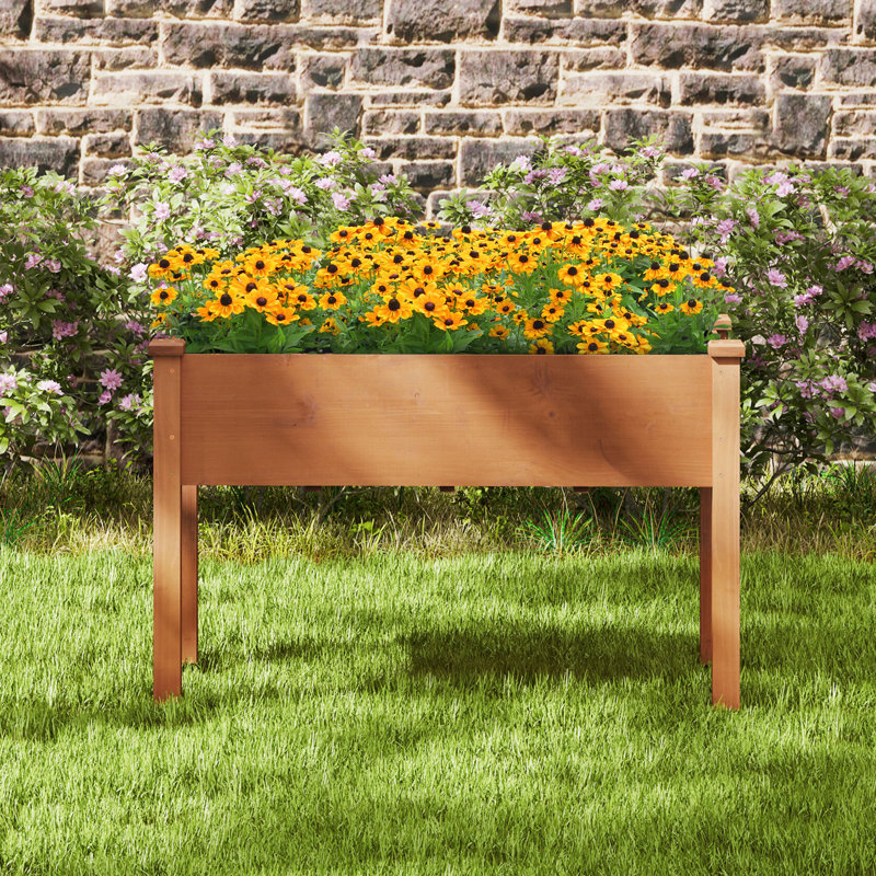 Boîte à fleurs surélevée en bois de sapin avec jardinière