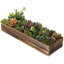 Plante grasse artificielle 2,5 po en pot