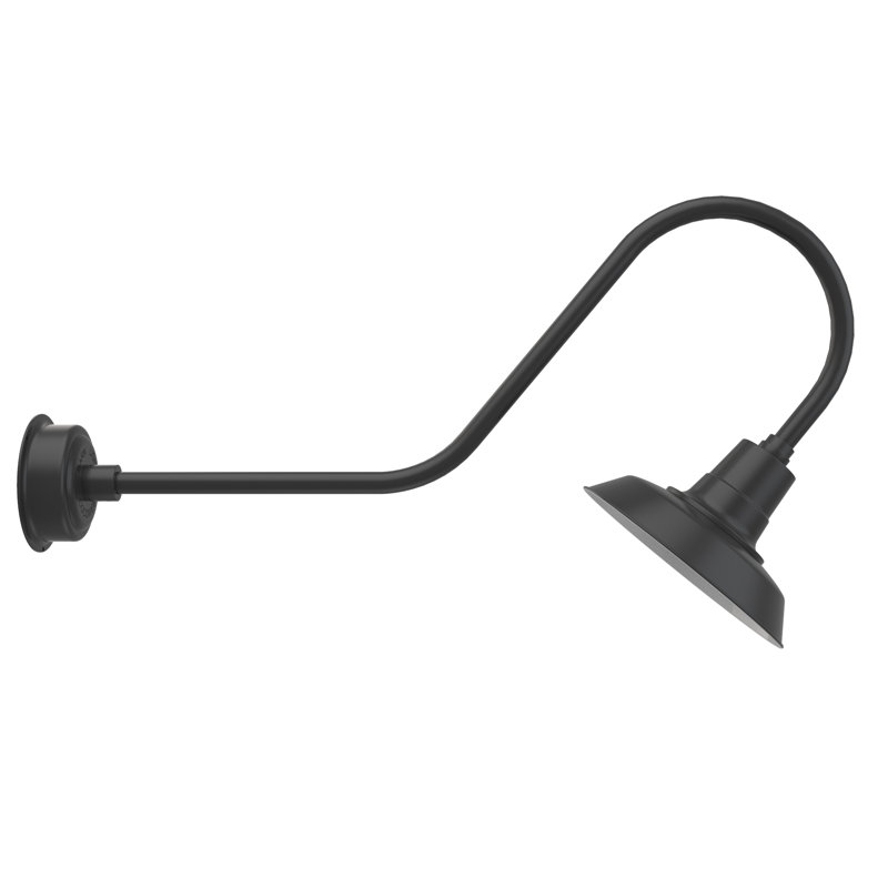 Luminaire de grange d’extérieur à del Haleigh, H 12 po x l 12 po x P 36 po, Noir mat