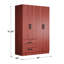 Armoire-penderie avec rangement à 2 tiroirs et tablettes Apollonios Solum -1366849729