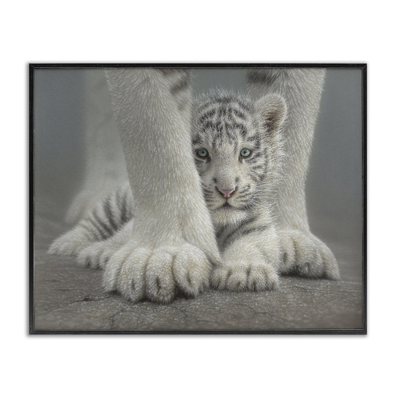 Abri de tigre blanc protégé, estampe numérique, design par Collin Bogle, Giclée encadrée noir minuit, H 24 po x l 30 po