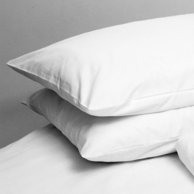 Ruggles Egyptian Cotton - Set of 2, White, 50cm H x 75cm W