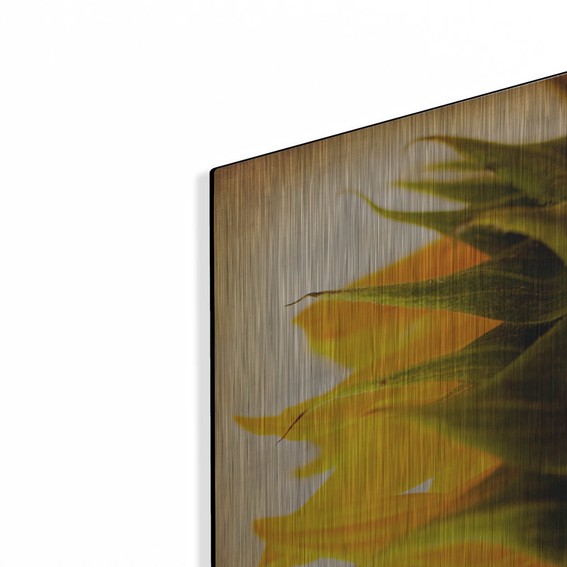 «Late Bloomer» par Jessica Rogers, H 16 po x l 12 po