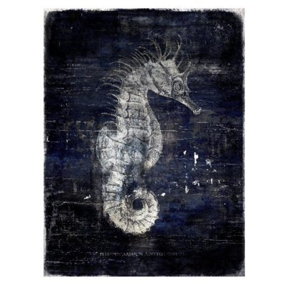 Caballito De Mar Print