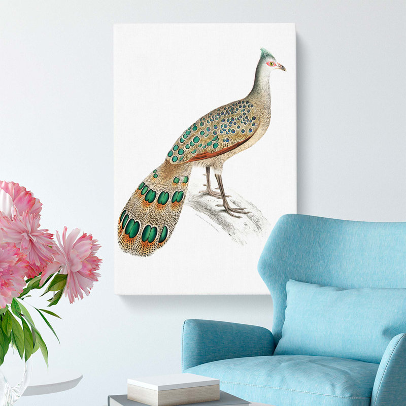 Peacock-Pheasant by John Edward Gray - Wrapped Canvas, 76cm H x 50cm W x 3cm D