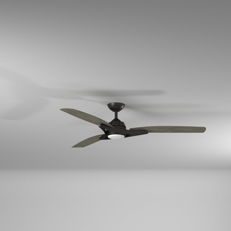 65" Molino 3 - Blade LED Smart Standard Ceiling Fan with Remote Control and Light Kit Included, Coal