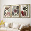 Coral & Seaweed Montage I - Impression sur mesure encadrée de qualité supérieure - 3 pièces-1156827206-1156827200