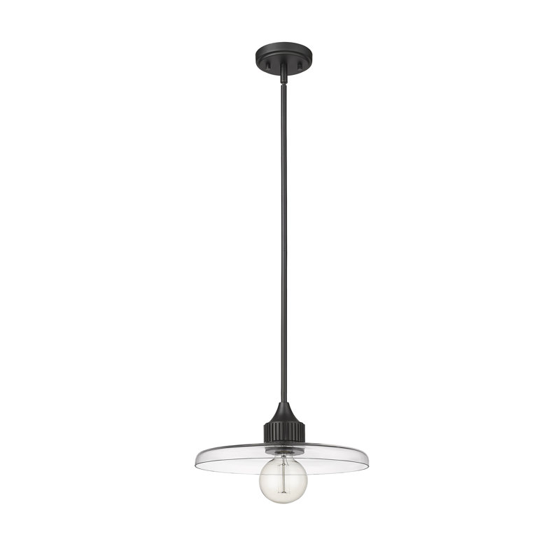 Luminaire suspendu géométrique unique à 1 lumière Jamyla, H 6,25 po x l 14 po x P 14 po, Transparent, Noir mat