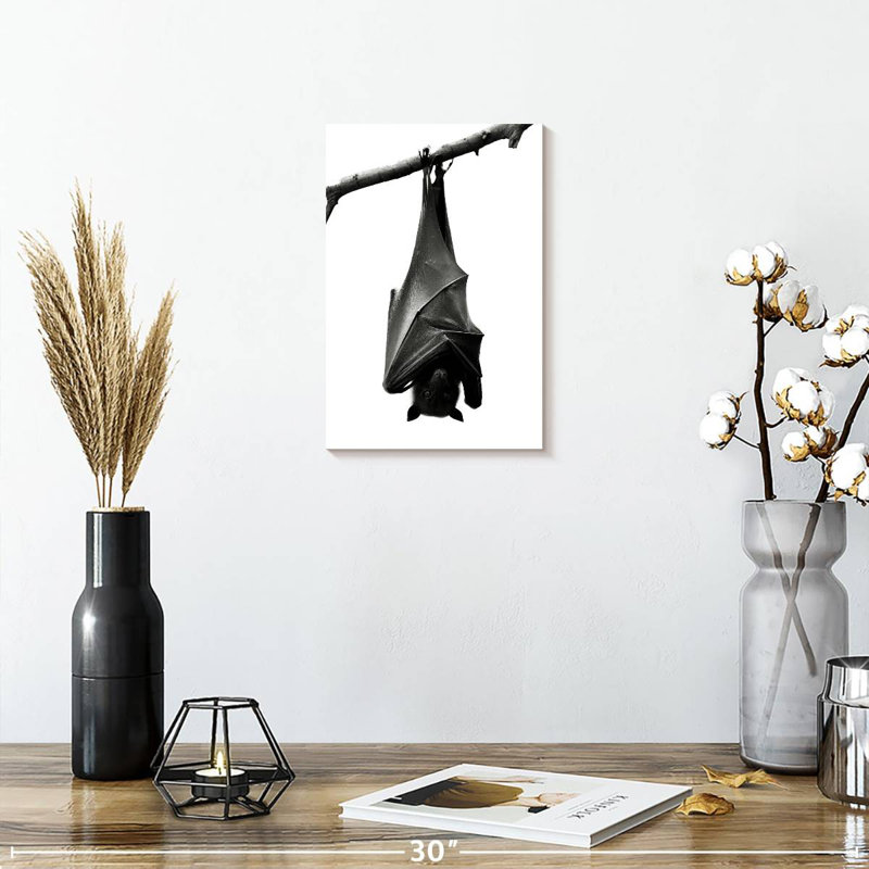 Brampt Monochrome Upside Down Bat, 12" H x 8" W