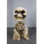 Gothic Macabre Grinning Grave Squatter Skeleton Skull Bobblehead Figurine