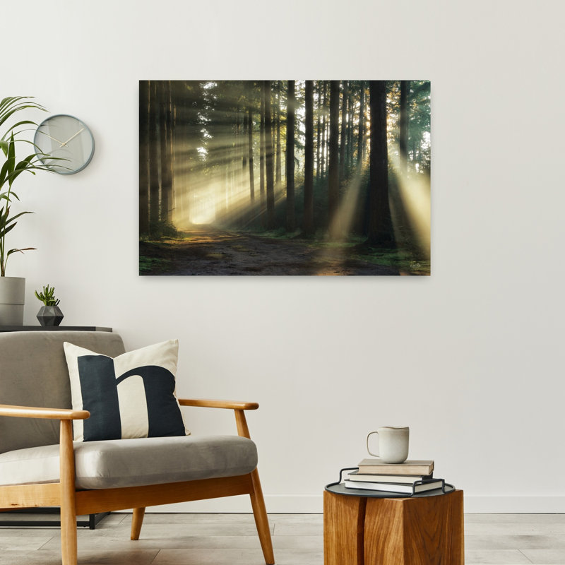 «Pathway To Sunlight», art contemporain de paysage de forêt, H 24 po x l 36 po