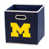 Wolverines du Michigan