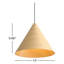 Luminaire suspendu 1 lumière Aelicia Hanrahan-1062221041