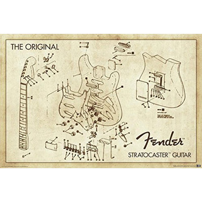 " Stratocaster Guitar Blueprint "
