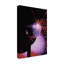 Samantha Hearn Disco Fever sur impression sur toile-751070046