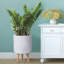 Dotted Style Cylinder Planter with Feet-901821042-901821046