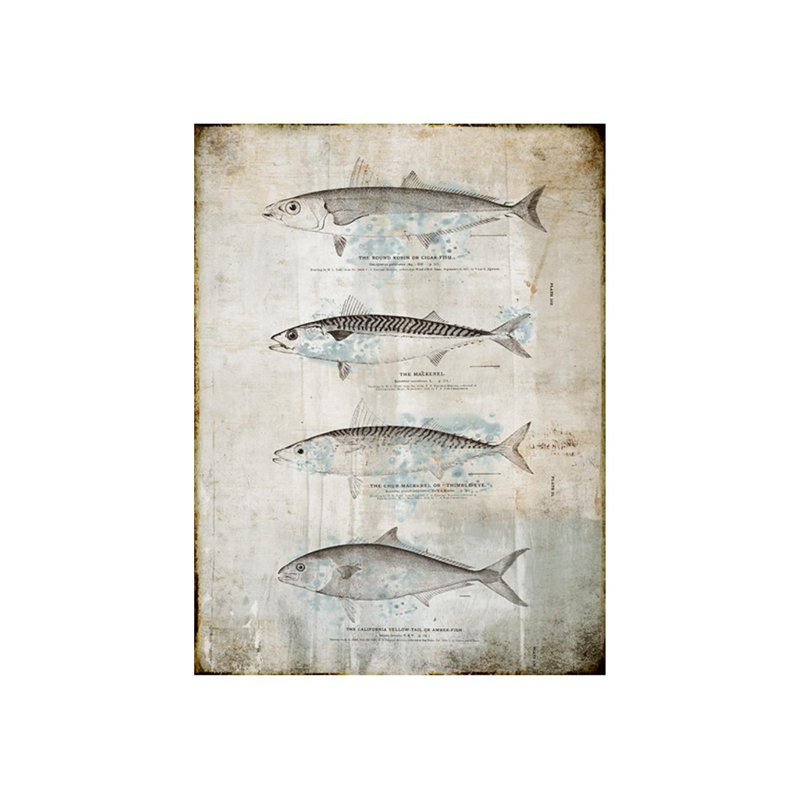 Fin I Print by Chelsea Art Studio, 63" H x 47" W x 1.5" D, Outdoor