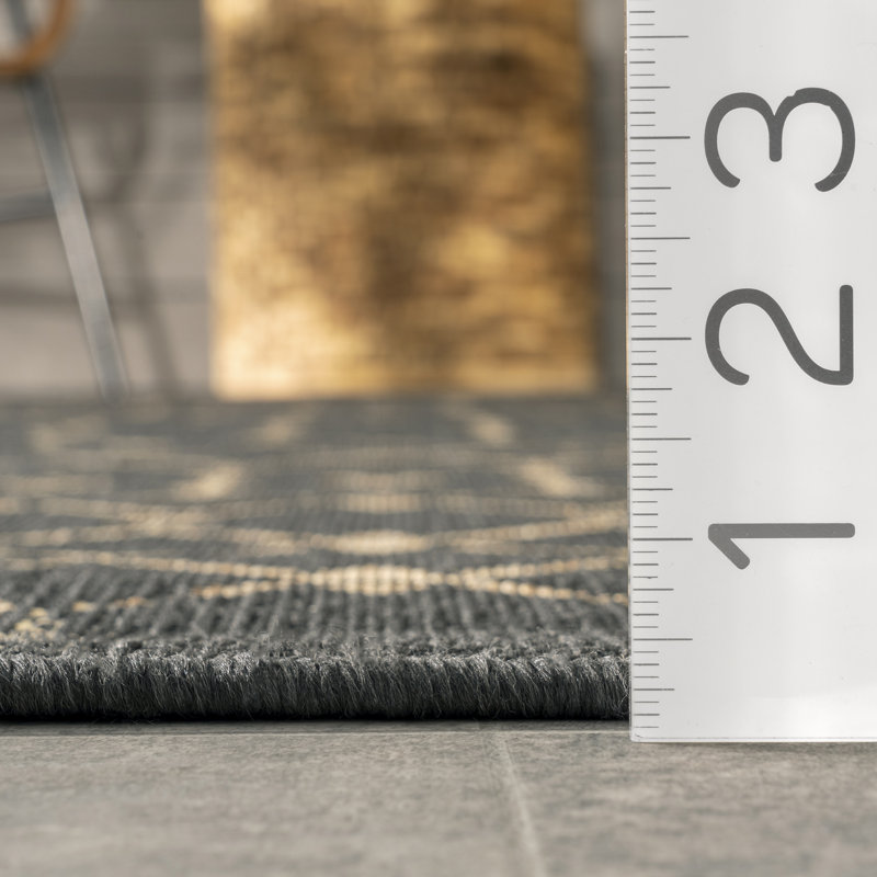Tapis intérieur / extérieur Indie, Rectangle 8 pi x 10 pi