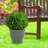Berlina Round Imperial Ceramic Outdoor Planter - Seafoam - 15"-2096414548-2096375820