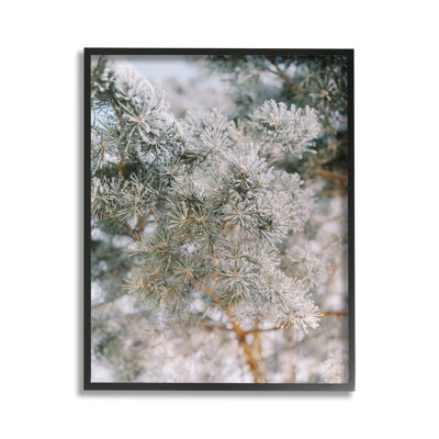 FrostedFirTreeBranchesGicleeArtbyJustineMilton