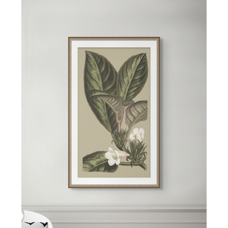Botanical Jungle 3 Print, 43.75" H x 26.75" W