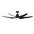 Ceiling Fan with LED Lights
