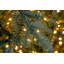 EATON FIR - Christmas Tree with Warm White Lights-106325894
