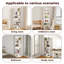 178.5 cm H x 60 cm W Standard Bookcase-289590386