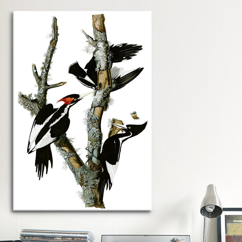 «Ivory-billed Woodpecker, 1829» par John James Audubon, reproduction d'art sur toile, H 40 po x l 26 po x P 1,5 po