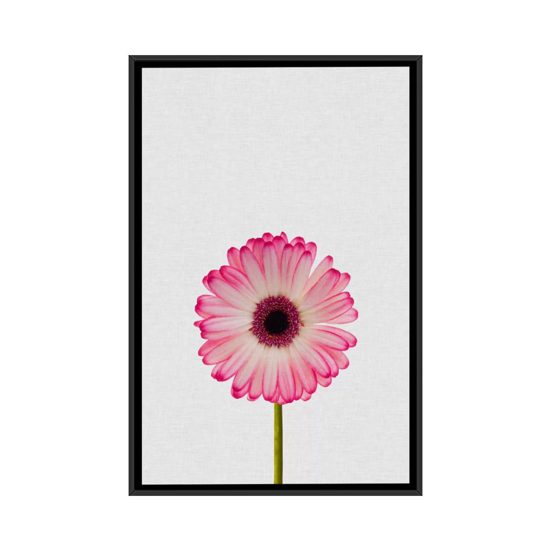 «Daisy», impression sur toile, H 26 po x l 18 po x P 1,5 po, Toile avec cadre noir, Pas de tapis