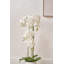 115cm Faux Plant in Cement Pot