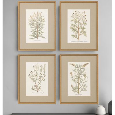 Set Of Four Botanical Plants Gold Framed Print Wall Art