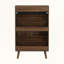 23.6 Walnut Mid-Century Modern Shoe Cabinet-245671172