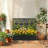 24 X 9 X 44.5 In.Small-Space Iron Planter Box With Trellis