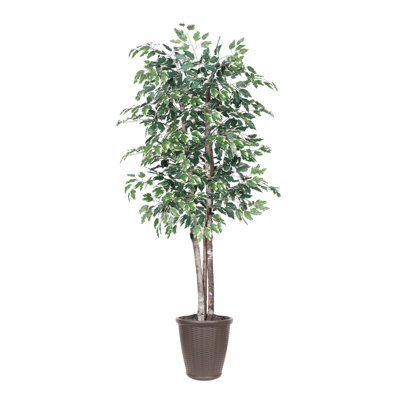 72'' Faux Tree in Pot
