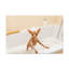 No Frame Print on Canvas-212826276