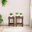 Plant Stand