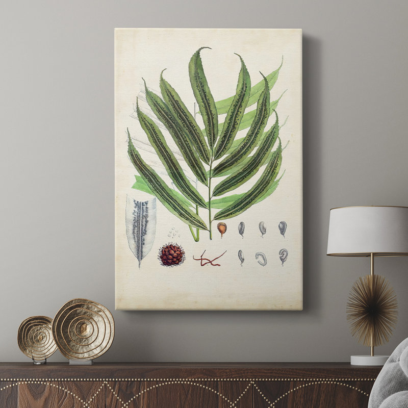 Collectionner Ferns III - galerie sur mesure, H 18 po x l 12 po