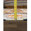 Kilim One-of-a-Kind 8'6" X 11'3" Area Rug