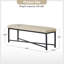 Anahli 50.5'' W Modern Genuine Leather Bench with Button-tufted and Metal Legs-1536914463