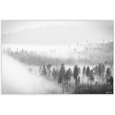 " Foggy Scenery "