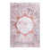 Oriental Indoor Rug