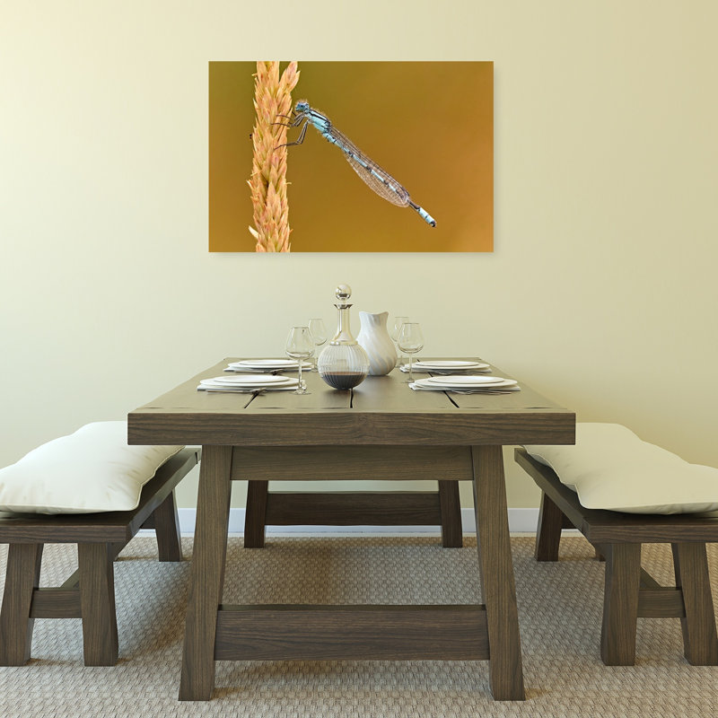 Blue Damselfly On Stalk Delicate Serene Contemporary Animal Nature Wall Art Print by Stuart Williams - Print