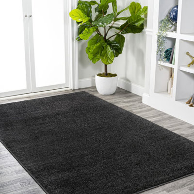 Asaldis Solid Low-Pile Black Rug