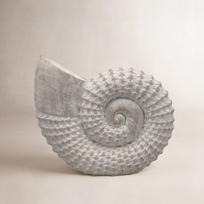 Trish Ceramic Shell Sculpture