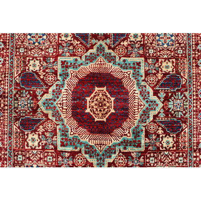 Aryana Wool Oriental Indoor Rug